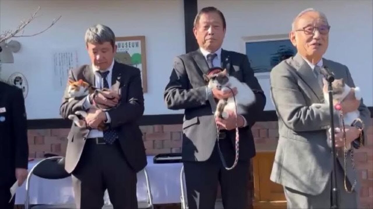 Un nuovo gatto-capostazione per la linea ferroviaria Kishigawa in Giappone