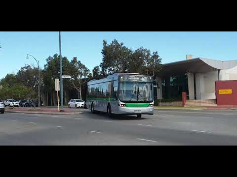 Transperth Volvo B8RLE (Volgren Optimus) TP2944 Arriving @ Joondalup Station