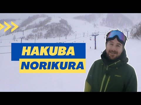 Hakuba Norikura Ski Resort Review