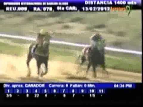 Resumen Lunes, 13 de Febrero de 2012 - Rancho Alegre