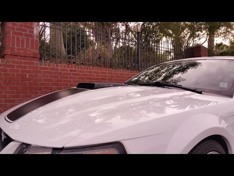 2003 Mach 1 o/r x pipe and pypes m80 mufflers