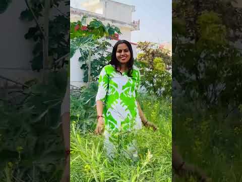 new reels #love #song #nature #khetibadi #song #sister #souravjoshi