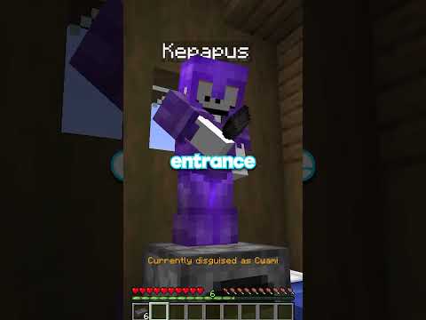 pretending to be a girl on the lifesteal smp...