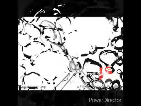 Earth Day 2020, J.P.I.C. Loreto Day School, Elliott Road