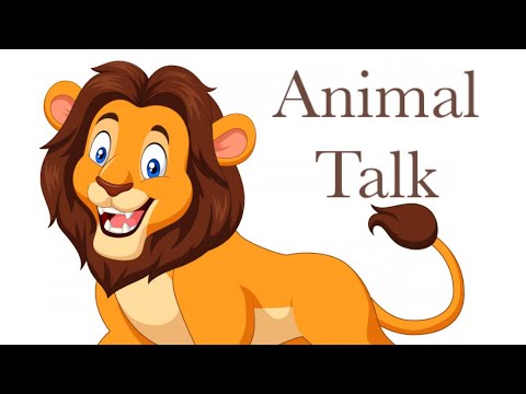 LION || King of the Jungle 🦁