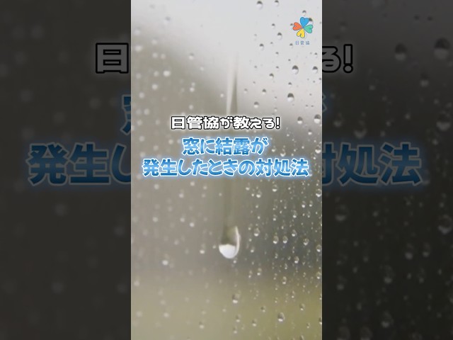 窓に結露が発生したときの対処法