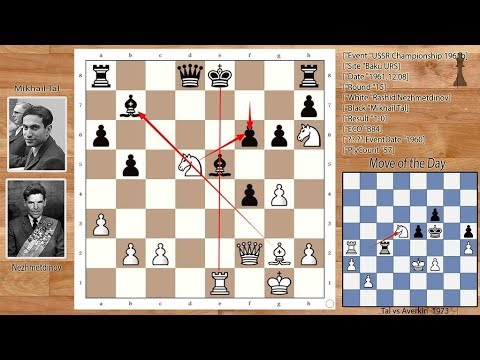 What happens when two aggressive players meet | Rashid Nezhmetdinov vs Mikhail Tal (1961)