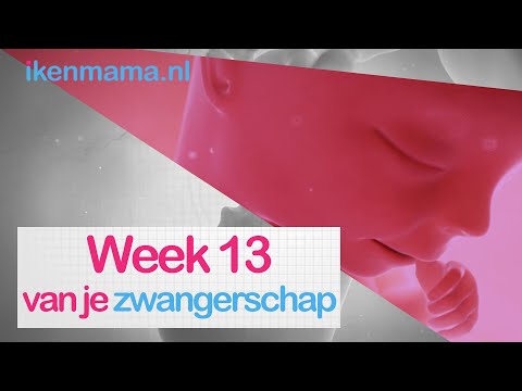 13 weken zwanger | ikenmama.nl