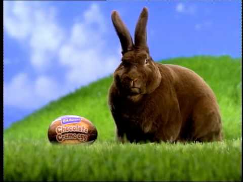 Cadbury Bunny Ad - Chocolate