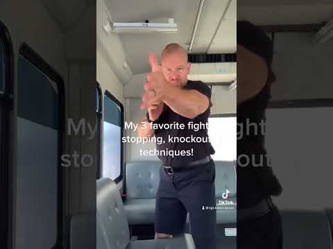 Top 3 fight stopping techniques by Sgt. Beast Larson