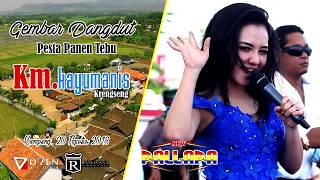 Download lagu Konco Turu - Lala Widi - New Pallapa Live PT  Kayu Manis Krengseng mp3 Download lagu Konco Turu - Lala Widi - New Pallapa Live PT  Kayu Manis Krengseng mp3