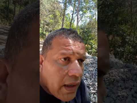 DAMIÃO DA PALOMAR MANDA O RECADO