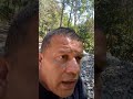 DAMIÃO DA PALOMAR MANDA O RECADO