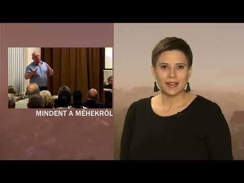 JTV Híradó 2019/47 - 2019.11.24.