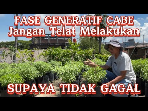 Generatif