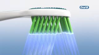 Fernanda Brandao - Oral B Brasil