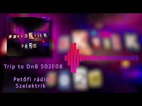 Etapdini - Szelektrik 2022 l drum and bass mix