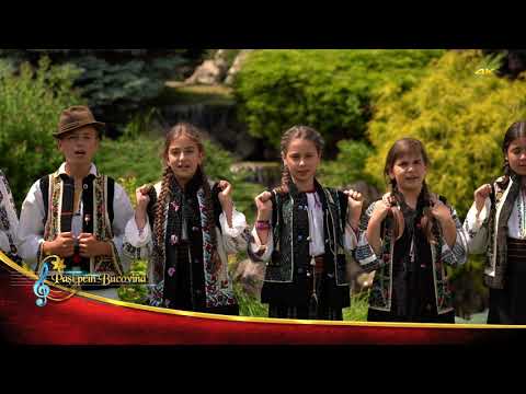 Grupul folcloric ”Moldava”