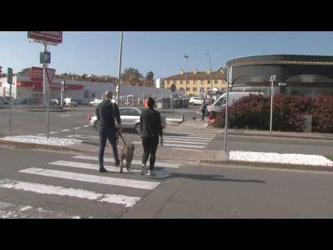 Policía Nacional detiene en Algeciras a los presuntos responsables del robo a un vendedor de la ONCE