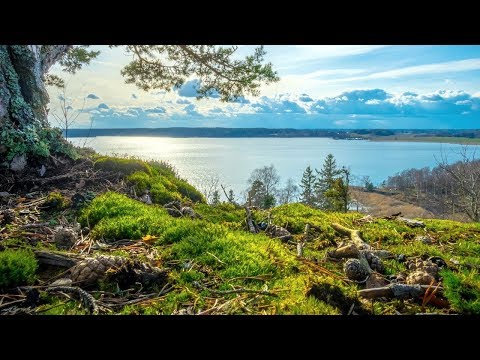 Dag Wirén: Symphony No. 3, Op. 20 (Gamba, Sinfóníuhljómsveit Íslands)