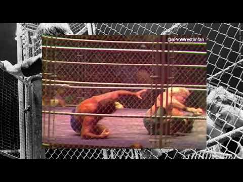 Bruno Sammartino vs Stan Hansen | Crossing Paths