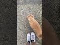 Chunky Orange Cat Meows Loudly And Demands Pet