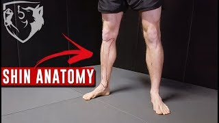 Points of Contact for Roundhouse Kicks: Anatomy of the Shin