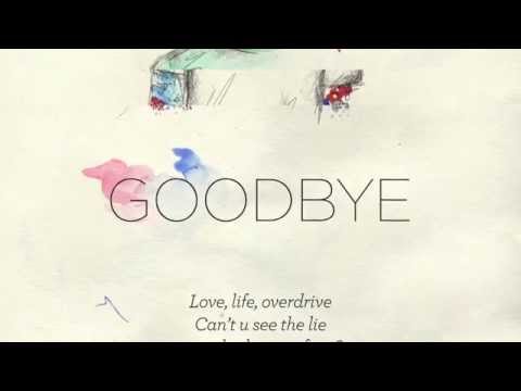 Vicuña Toy - Goodbye Lyric Video
