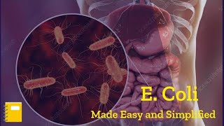 E. Coli Bacteria Microbiology