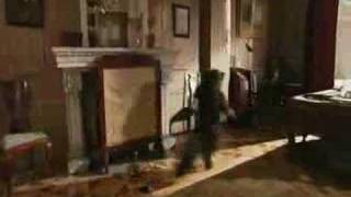 Behemoth here and beyond