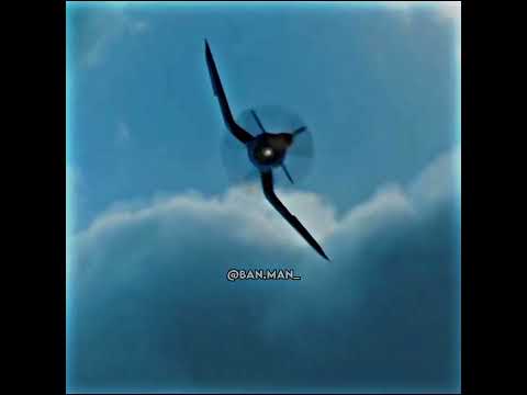 Some Based Planes 🗿| Planes Fight Scene Edit (4K)