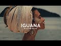 Iguana - ultra Beats