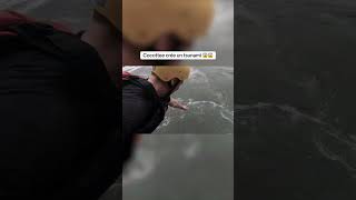 Vidéo disponible sur ma chaîne ytb: J’EXPLORE LA JUNGLE LA PLUS DANGEREUSE - Vlog Costa Rica #shorts