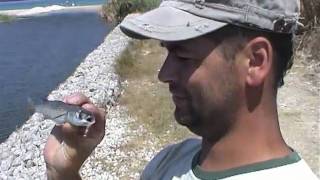 preview picture of video 'Podróże z wędką.Grecja2007(Corfu)Zwiastun.Travelling with a fishing rod. Corfu'