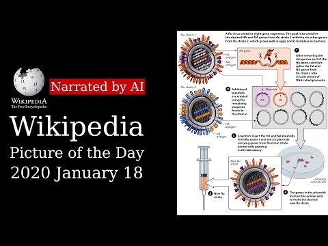 Wikipedia Picture of the Day: 2020-01-18 - Reverse genetics (Narrated by Amy)