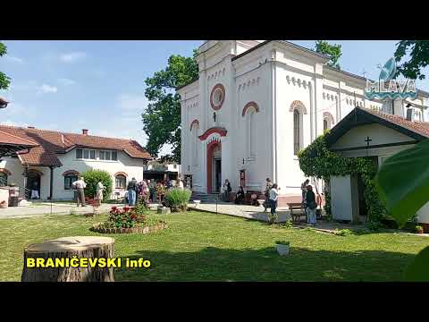 Vaznesenje Gospodnje - Spasovdan, petrovačka gradska slava (RTV MLAVA 02.06.2022.)