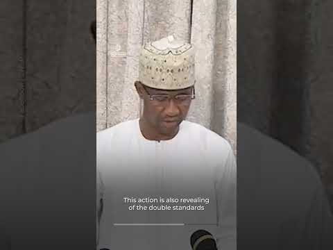 Niger accuses France of orchestrating failed military mutiny | AJ #shorts