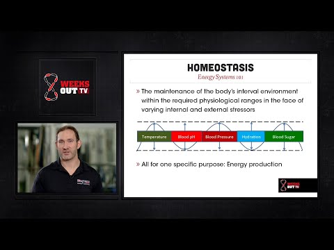 Everything You Should Know About Energy Systems | Part 1