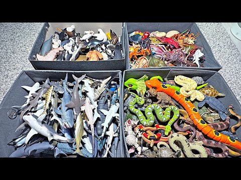 500 giocattoli di animali marini e rettili: squalo, orso polare, foca, tricheco, lamantino, dugon...
