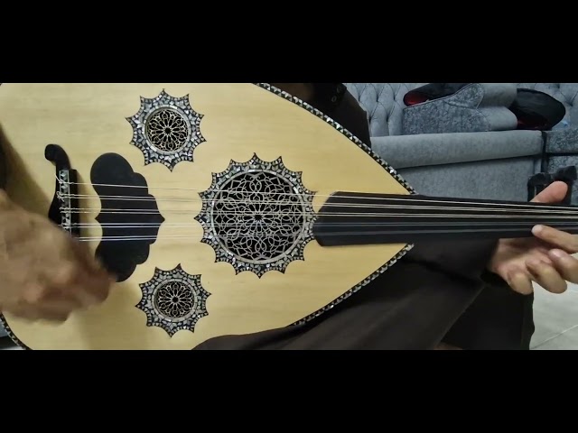 عود موسيقي - لوكس سيكا 2075