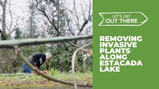 Garden club helps clean up shoreline at Estacada Lake
