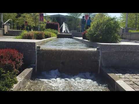 Stony Brook University fountain May 19