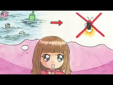 宗教学科 「蛍と愛情」(Fireflies and Love)