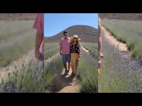 Family Bonding|Lavender Picking at Blue Barn Lavender Farm|Sage, California, USA 2021