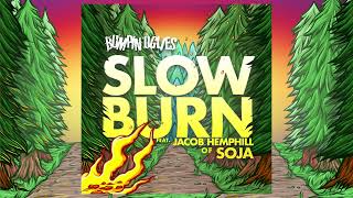 Bumpin Uglies - &#39;Slow Burn&#39; ft. Jacob Hemphill of SOJA (Official Audio)