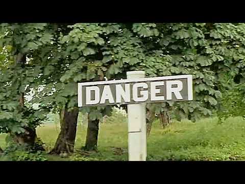 Spencer Davis Group Somebody Help Me Stereo 720p