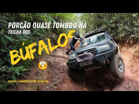 Trilha dos Búfalos 4x4 – Triton x Tracker – Porcão quase tombou! 😱