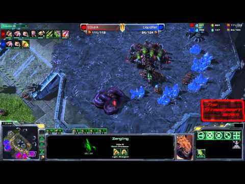 LiquidRet (Z) vs. EGIdra (Z) pt. 3