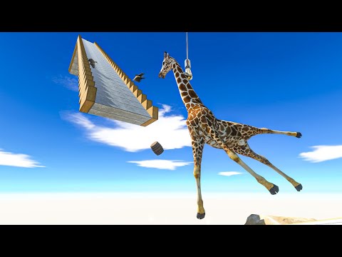 Falling Down the Ramp with Bungee Jumping -  Animal Revolt Battle Simulator