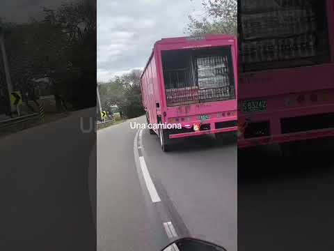 Ya no se hablan de camiones ahora son camionas 😂👀
